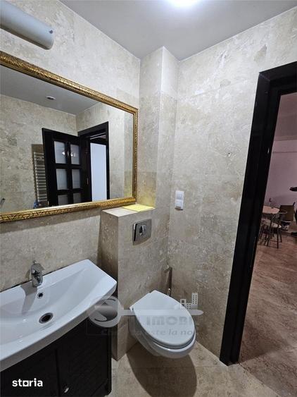 Apartament cu 2 camere, mobilat în Copou