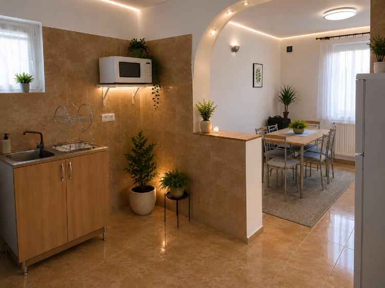 Casă individuală cu 5 camere cu Teren 520 Mp în Paleu
