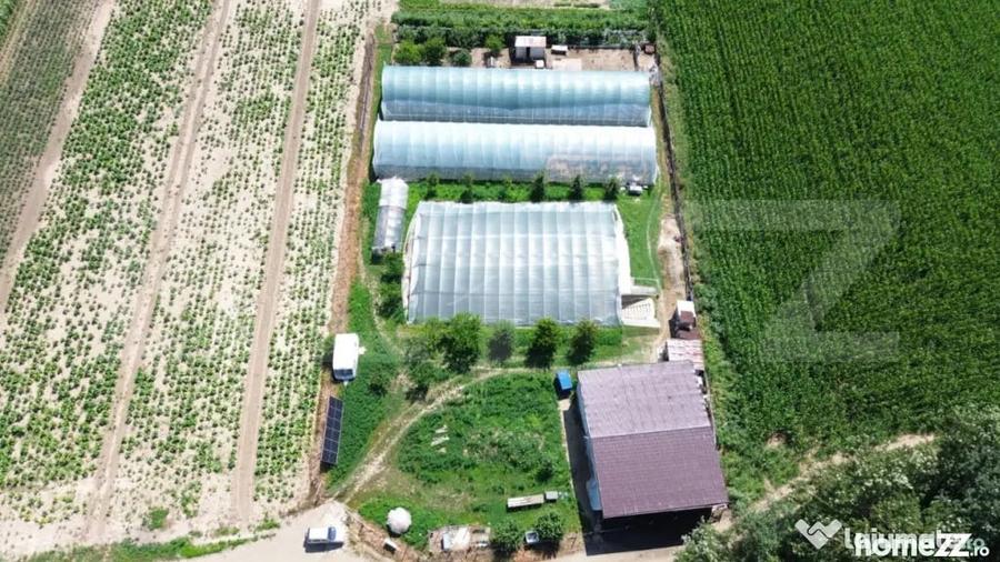 Teren extravilan 14.000 mp, Drambar Ciugud | solarii, f - 2