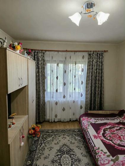 Casă cu 4 camere în Viișoara