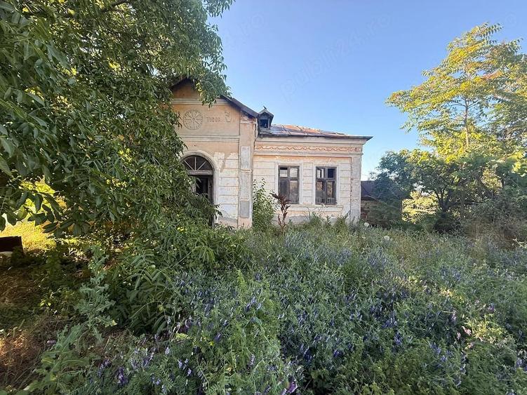 Casă cu Teren 2894 Mp în Segarcea-Vale