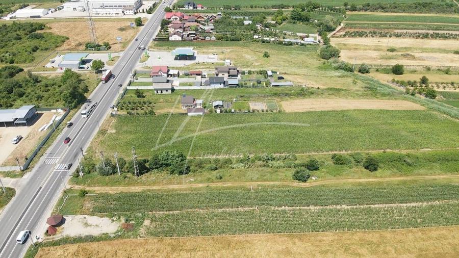 Teren Construcții intravilan de 7427 mp, în Argeșelu