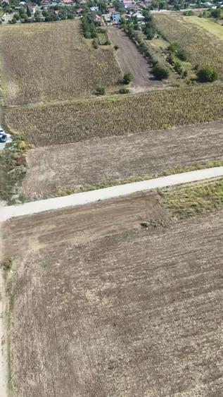 Teren Construcții intravilan de 10000 mp, în Frumușani