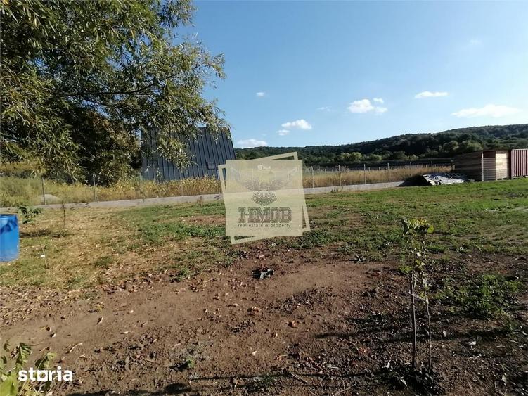 Teren intravilan 3500 mp zona Hamba - 1
