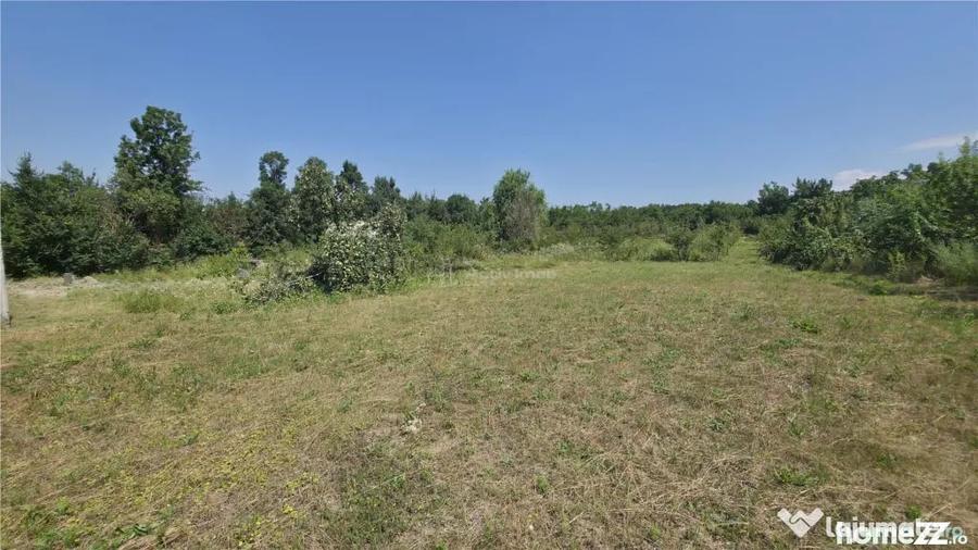 Casă cu 3 camere cu Teren 5314 Mp în Răchitova
