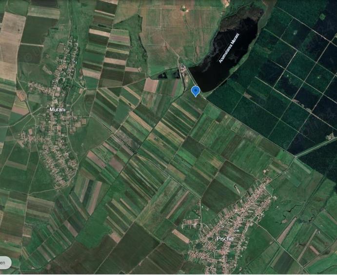 Teren de 29300 mp, în Pișchia
