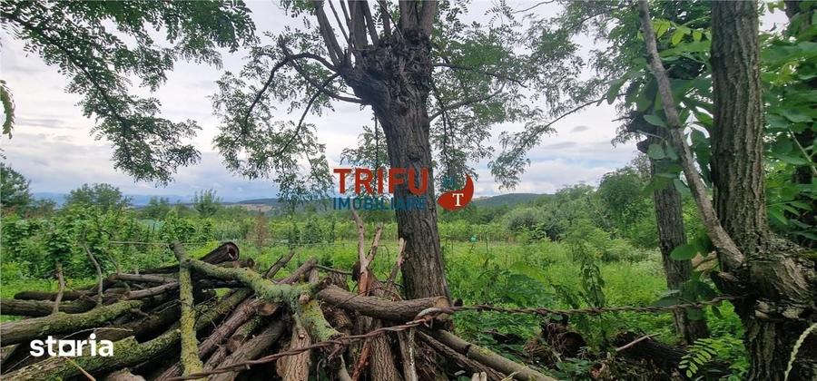 Teren de 1300 mp, în Straja