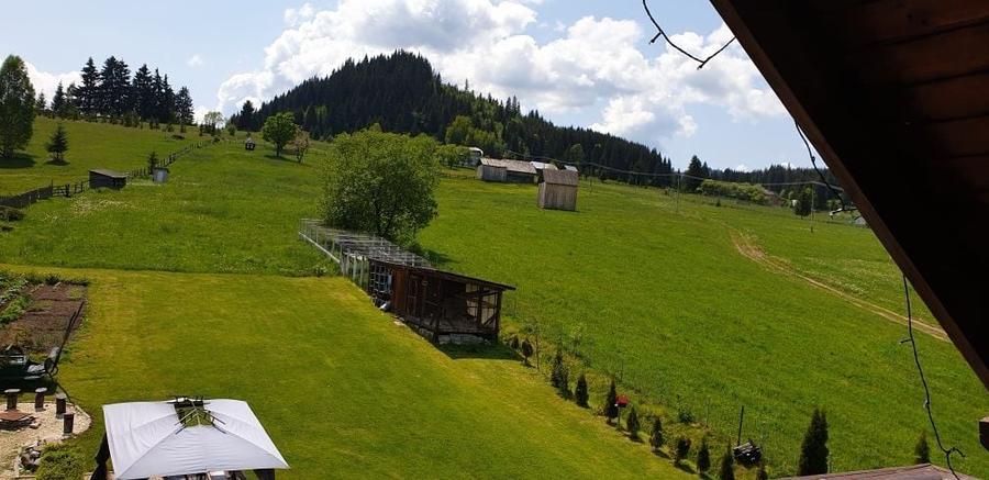 Casa si teren intravilan 14 155 m2 de vanzare in loc. Sarisoru Mare j - 8
