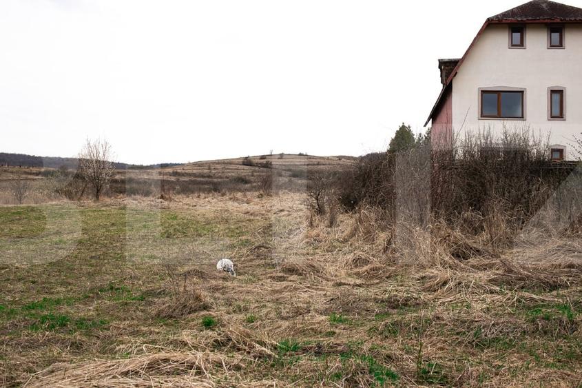 Teren Construcții intravilan de 7088 mp, în Borhanci