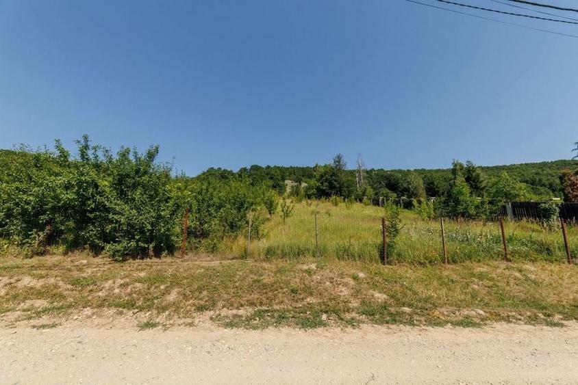 Teren intravilan ?tefane?ti Valea Mare Podgoria - 6