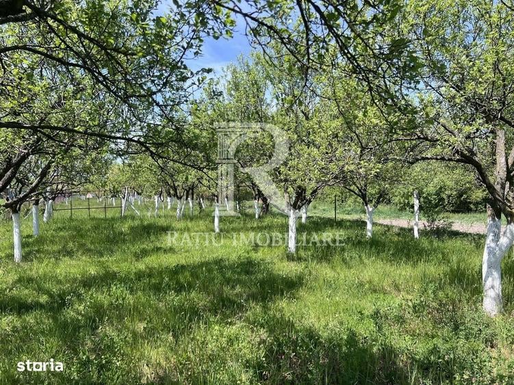 Casă cu 1 camere în Chijic