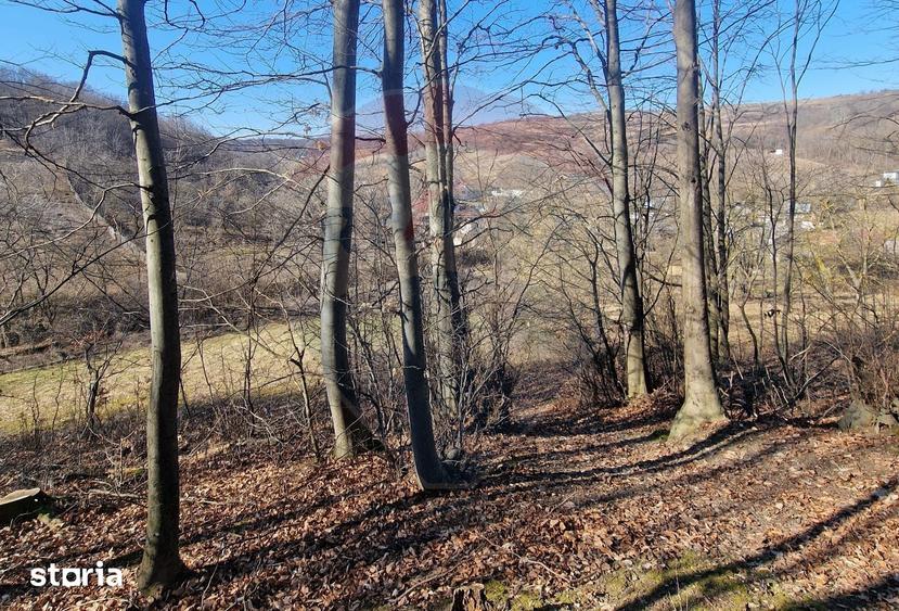 Teren de 4985 mp, în Sascut