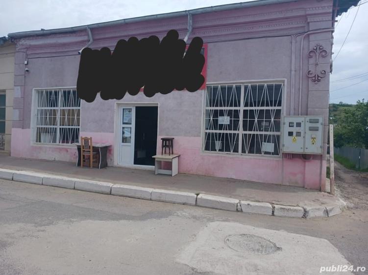 Casă cu 6 camere în Berești