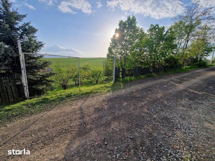Teren de 1250 mp, în Șura Mare