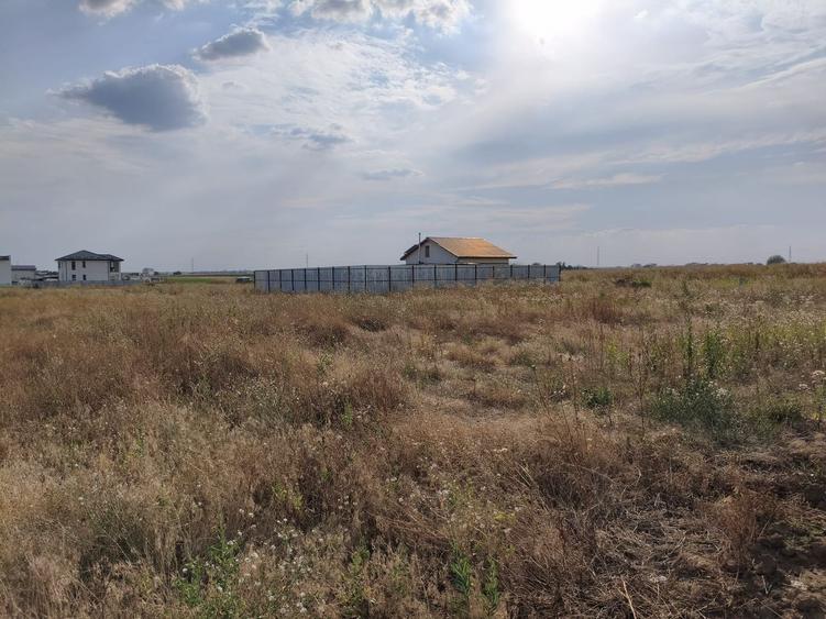 Teren Construcții intravilan de 320 mp, în Berceni