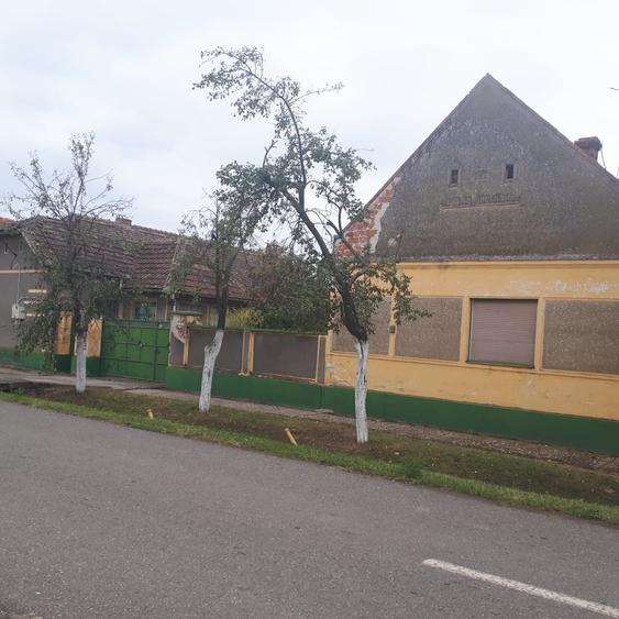 Casă cu 5 camere cu Teren 3307 Mp în Izvin
