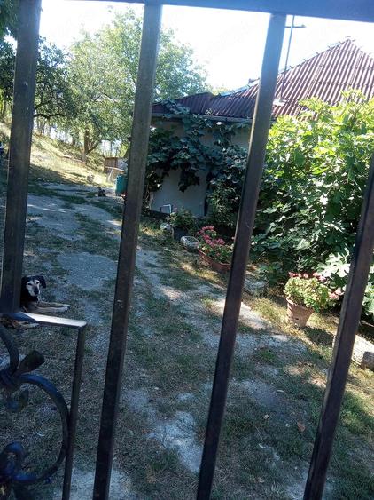 Casă cu 2 camere în Finteușu Mare