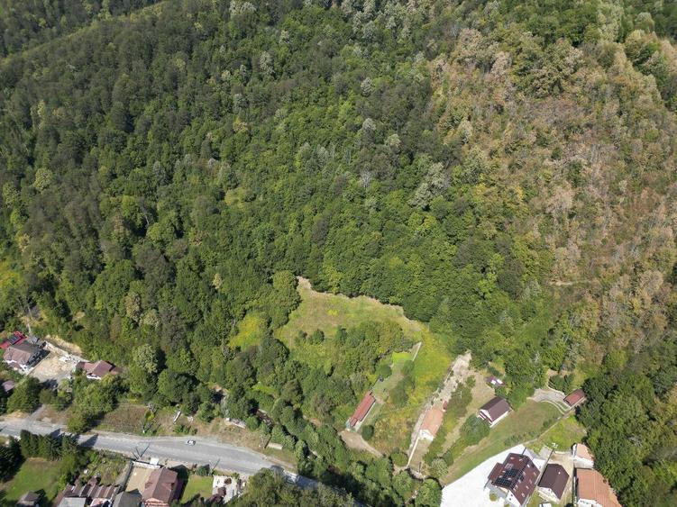 Teren intravilan de 1500 mp pe deal in Moneasa - 4