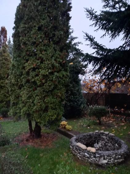 Casă cu 6 camere cu Teren 900 Mp în Pucioasa