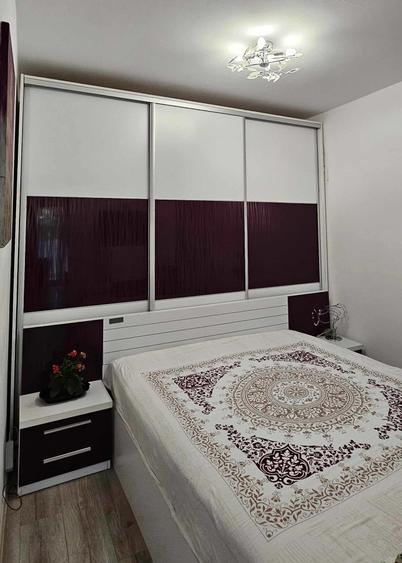 Apartament 1 camera in Ared Lidl - 2