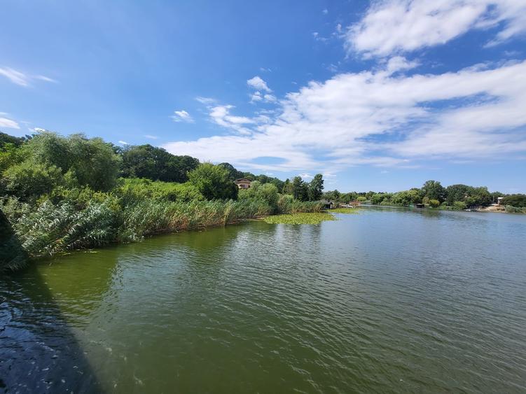 Teren Construcții intravilan de 5017 mp, în Snagov