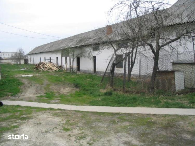 Teren de 6158 mp, în Central