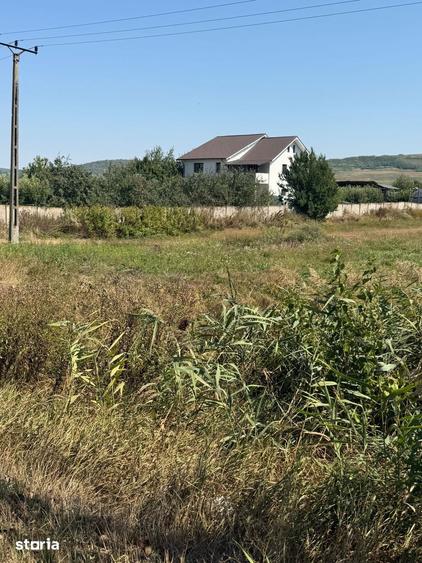 Teren de 1000 mp, în Buhoci