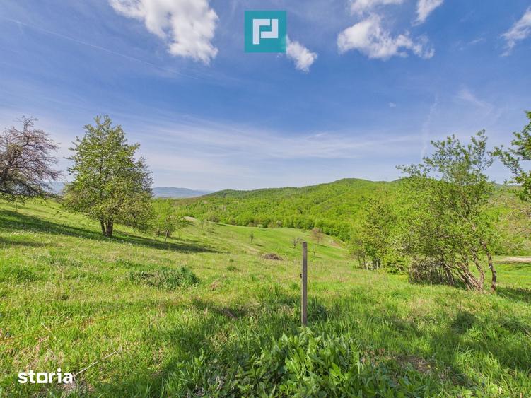 Casă cu 3 camere cu Teren 2000 Mp în Central