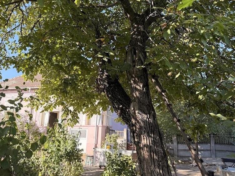 Casă individuală cu 4 camere cu Teren 3000 Mp în Rast