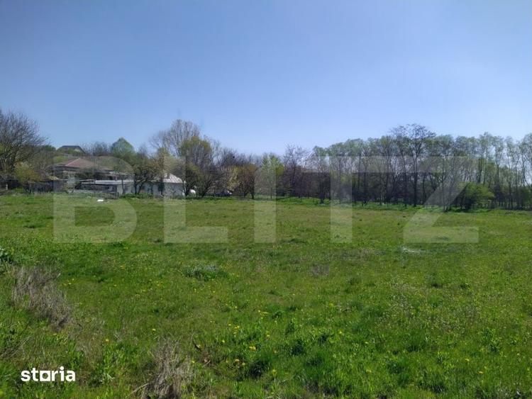 Teren de 29600 mp, în Șimnicu de Sus