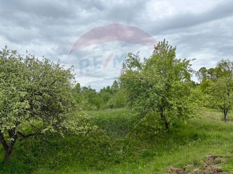 Teren agricol extravilan de 20876 mp, în Breb