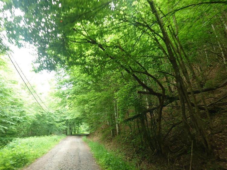 Teren extravilan de 1632 mp, în Bulzeștii de Sus