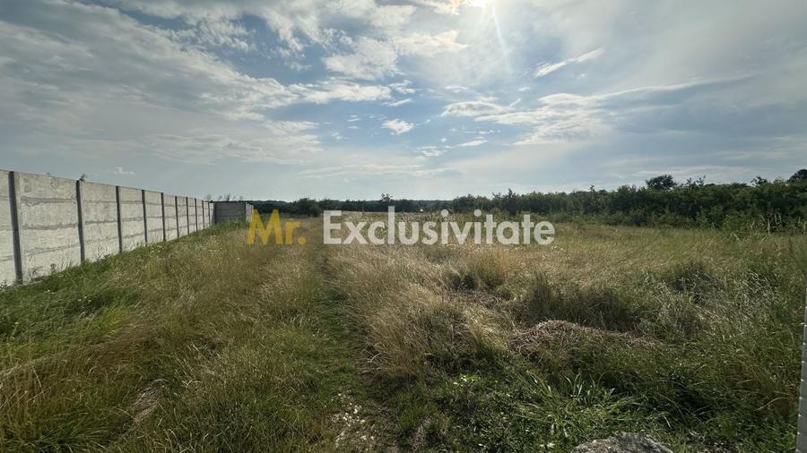 Teren Construcții intravilan de 530 mp, în Albota
