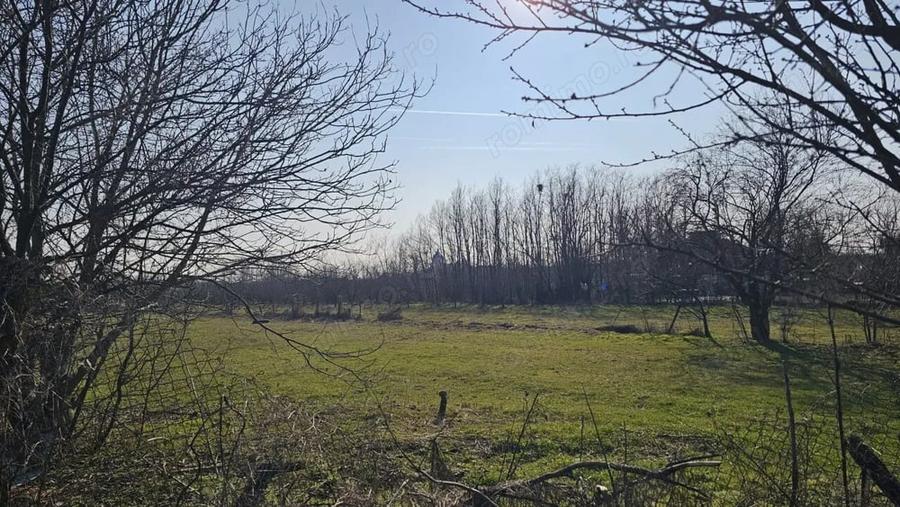 Baicoi -Tufeni, intravilan 6076 mp,2 deschideri - 55000 euro - 1