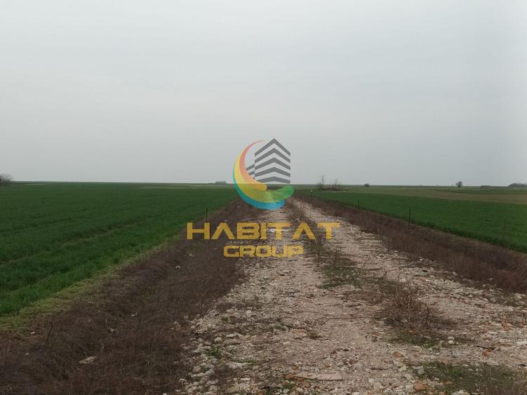 Teren Construcții intravilan de 274 mp, în Berceni