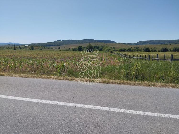 Teren agricol extravilan de 1200 mp, în Dorolea