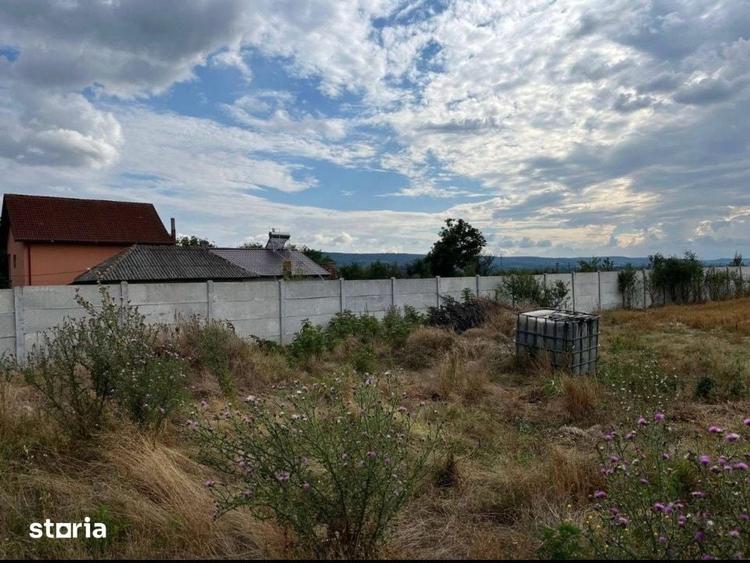 Teren intravilan imprejmuit 1000 mp, total 2550 mp, zona Arginesti - 1