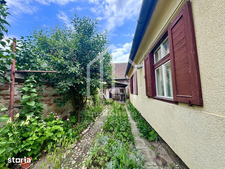 Casa individuala, 2 camere, sura 100mp, 290mp teren, Turnisor - 10