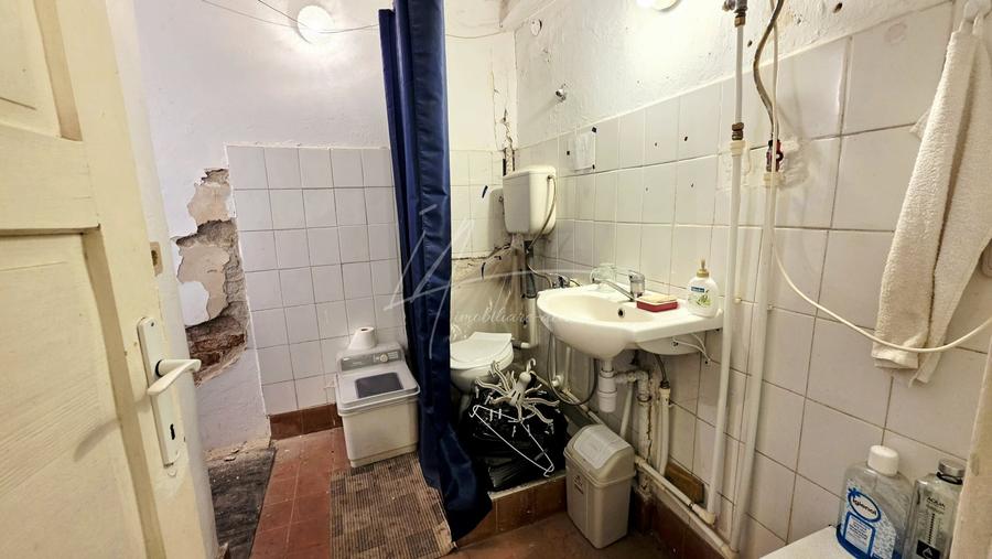 Unele proprietati se cumpara cu ochii. In Rahmaninov 9 cumperi cu imaginatia - 49