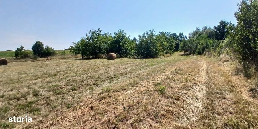 Casa in Comsesti cu teren intravilan 1800mp, acces bun - 7