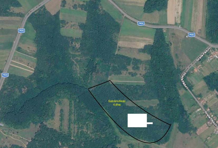 Teren extravilan de 174000 mp, în Buteni