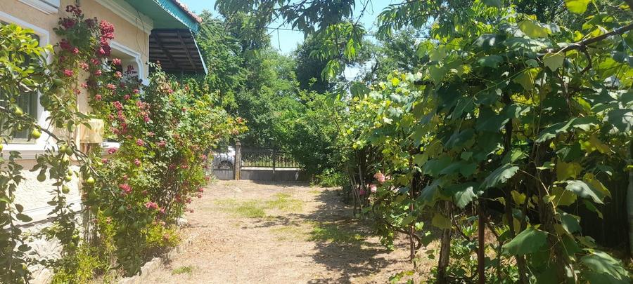 Casă cu 3 camere în Frâncești