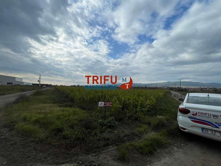 Teren agricol extravilan de 26701 mp, în Ampoi 1