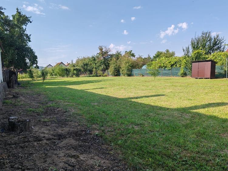 Teren Construcții intravilan de 1000 mp, în Dobârlău