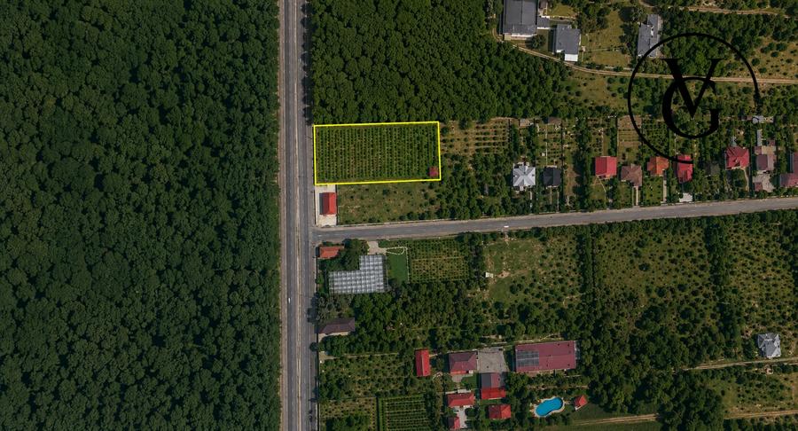 Teren agricol intravilan de 3176 mp, în Balotești