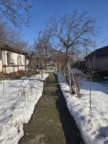 Casă cu 3 camere în Central
