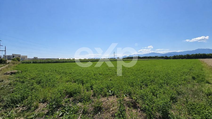 Teren agricol intravilan de 17204 mp, în Stupini