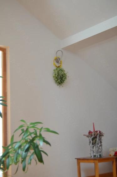 Casă cu 1 camere cu Teren 1627 Mp în Poiana