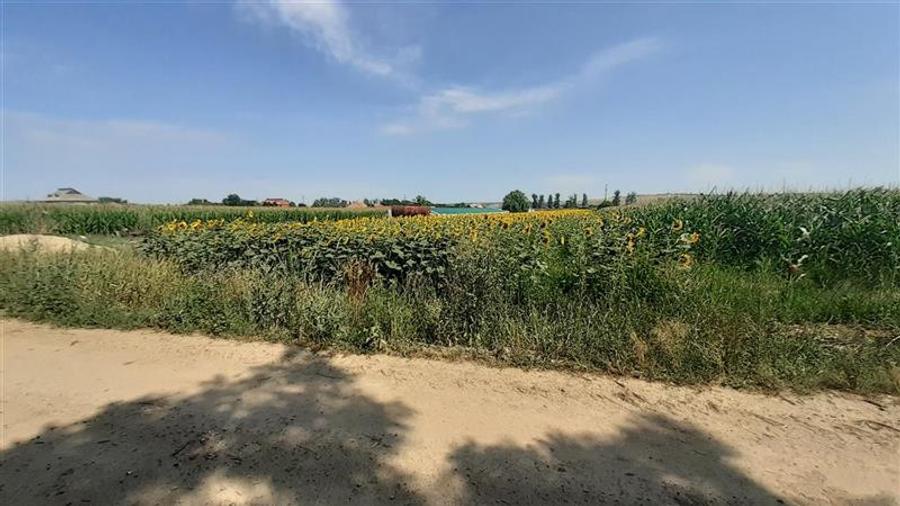 Teren agricol intravilan de 4971 mp, în Chiribiș
