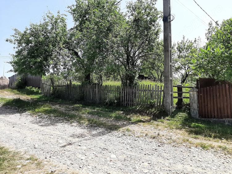 Teren de 1584 mp, în Talea